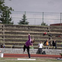 IMG 2604